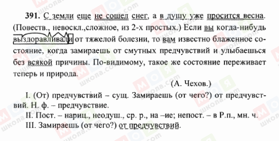 ГДЗ Російська мова 6 клас сторінка 391