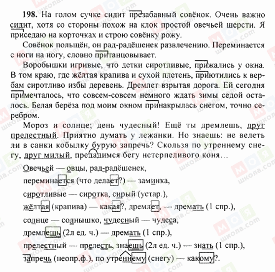 ГДЗ Російська мова 6 клас сторінка 198