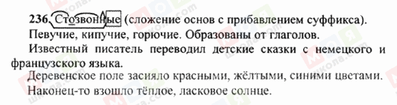 ГДЗ Російська мова 6 клас сторінка 236