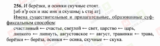 ГДЗ Російська мова 6 клас сторінка 256