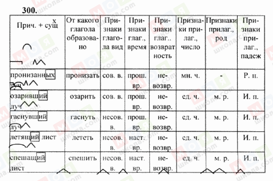 ГДЗ Російська мова 6 клас сторінка 300
