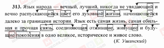 ГДЗ Російська мова 6 клас сторінка 313