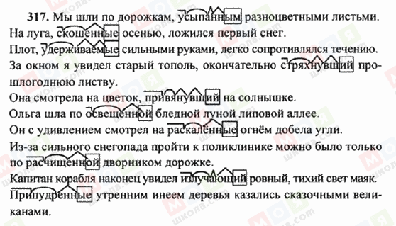 ГДЗ Русский язык 6 класс страница 317