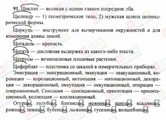 ГДЗ Російська мова 6 клас сторінка 91