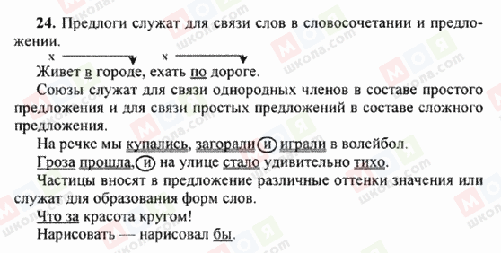 ГДЗ Російська мова 6 клас сторінка 24