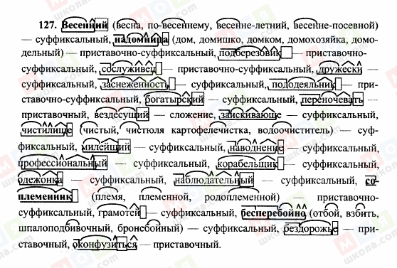 ГДЗ Російська мова 10 клас сторінка 127