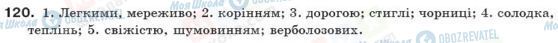 ГДЗ Українська мова 10 клас сторінка 120
