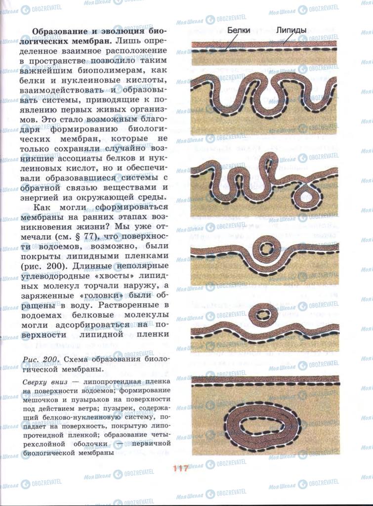 Учебники Биология 10 класс страница  117