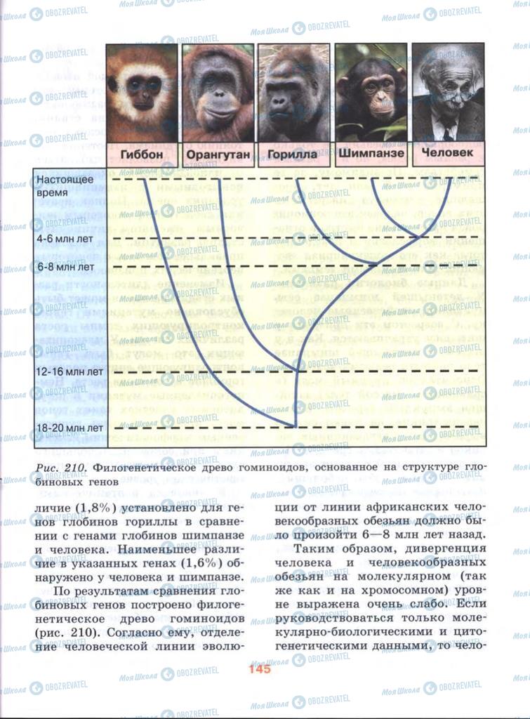Учебники Биология 10 класс страница  145
