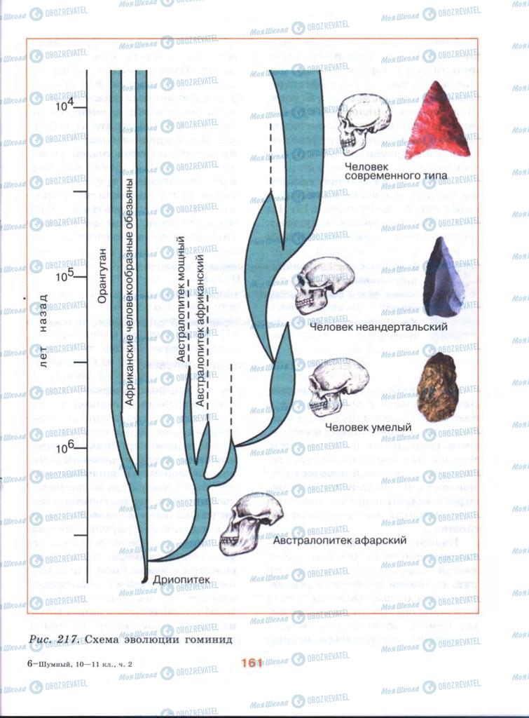 Учебники Биология 10 класс страница  161