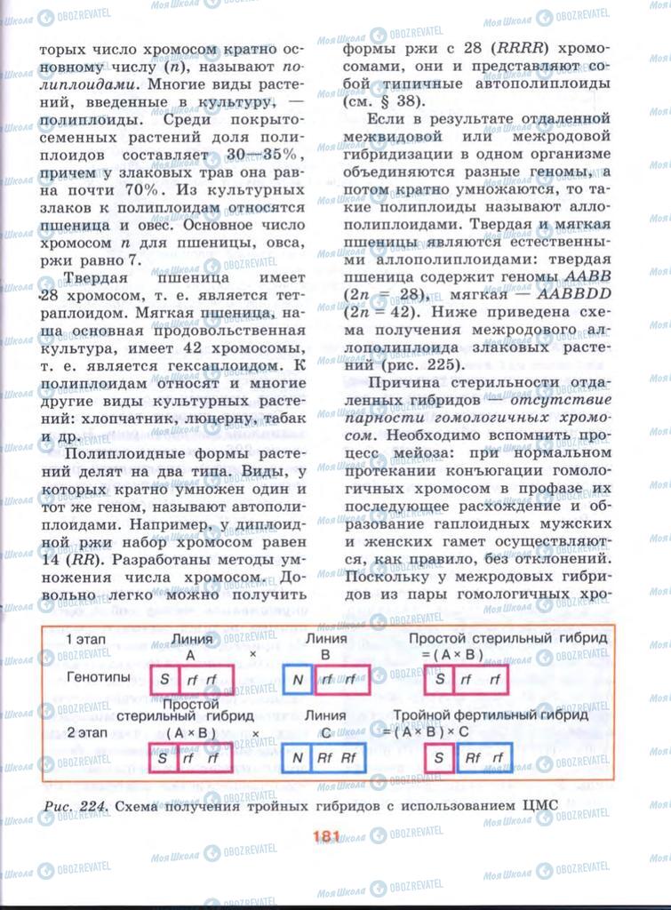 Підручники Біологія 10 клас сторінка  181