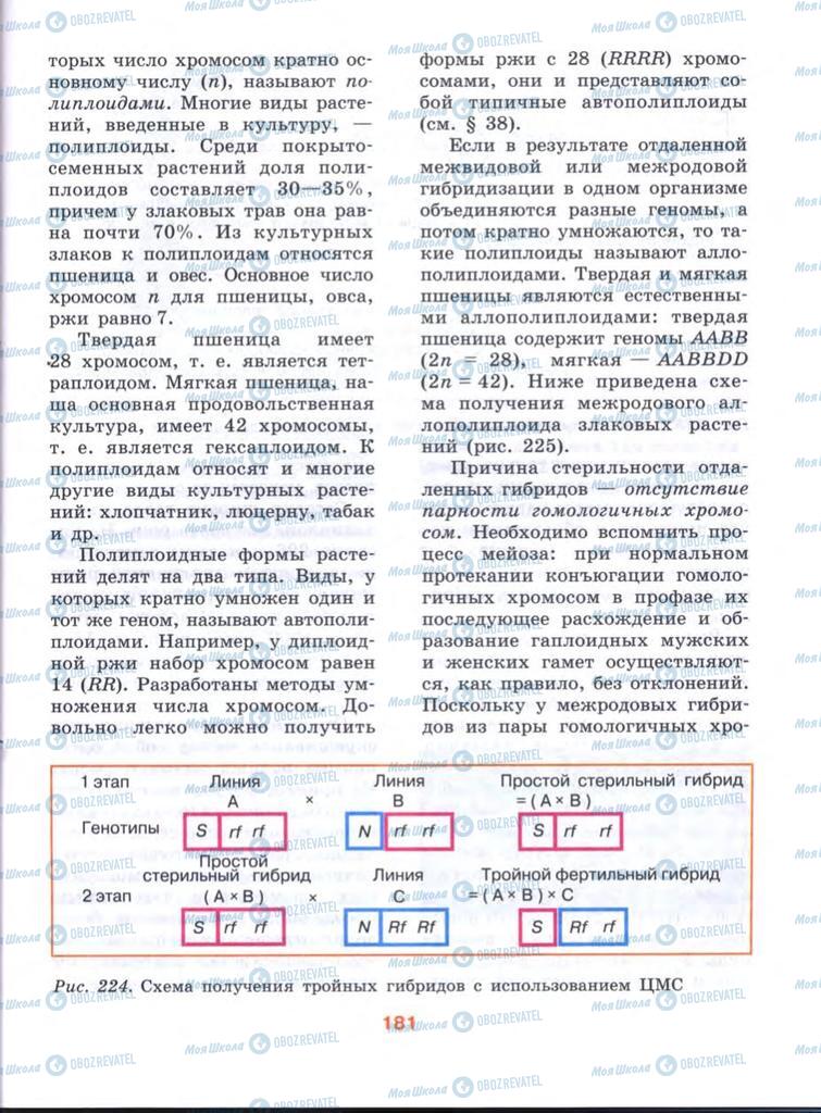 Підручники Біологія 10 клас сторінка  181