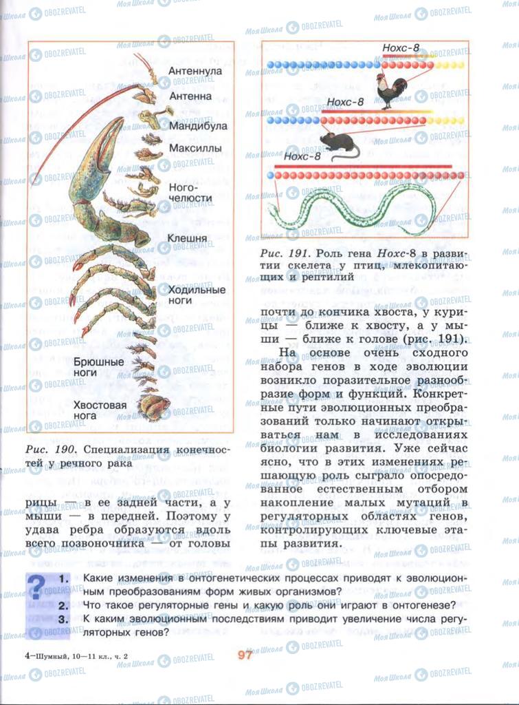 Підручники Біологія 10 клас сторінка  97