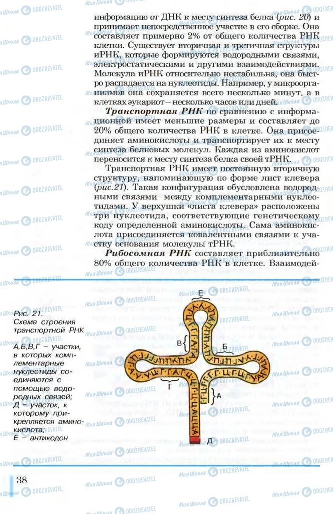 Підручники Біологія 10 клас сторінка 38