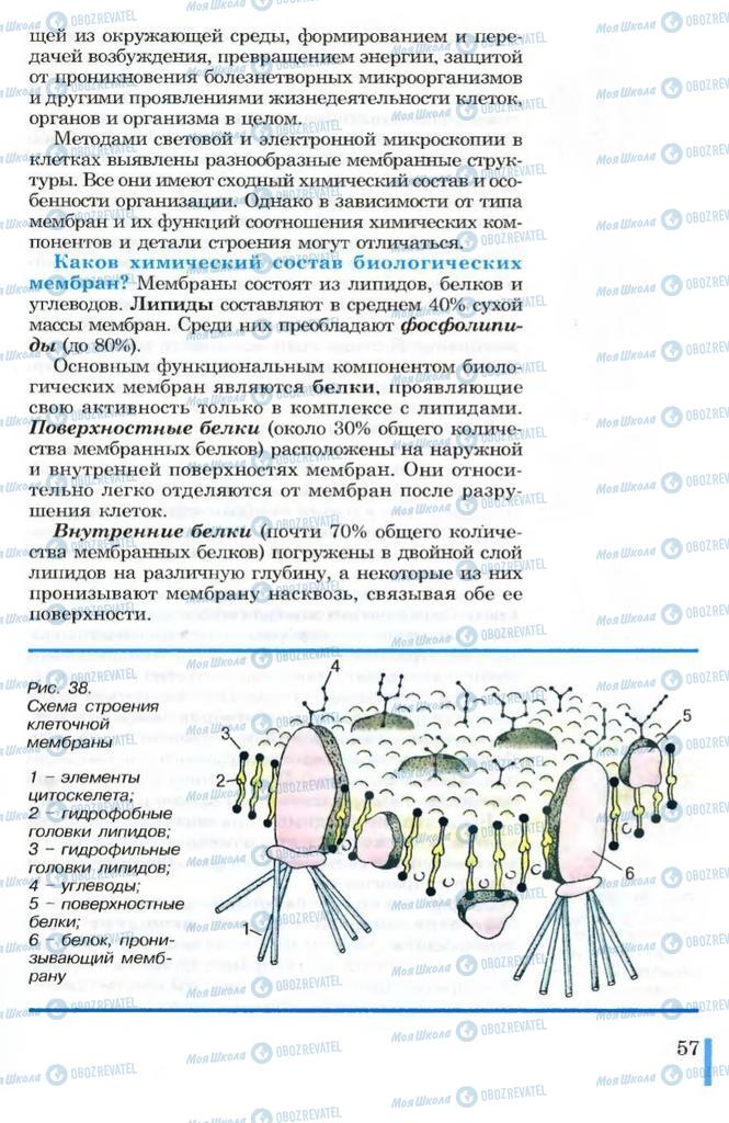 Підручники Біологія 10 клас сторінка 57