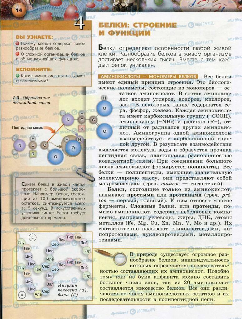 Підручники Біологія 10 клас сторінка  14