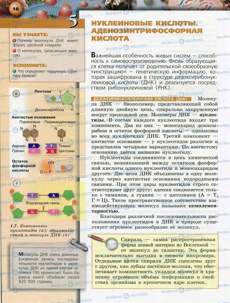 Учебники Биология 10 класс страница  18