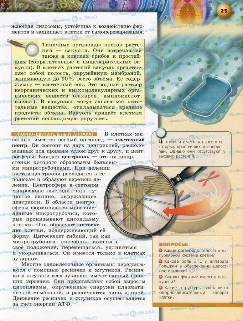 Підручники Біологія 10 клас сторінка  25
