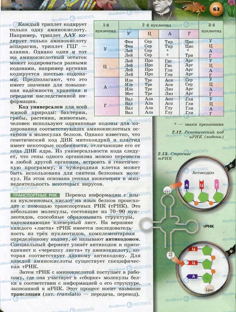 Підручники Біологія 10 клас сторінка  63