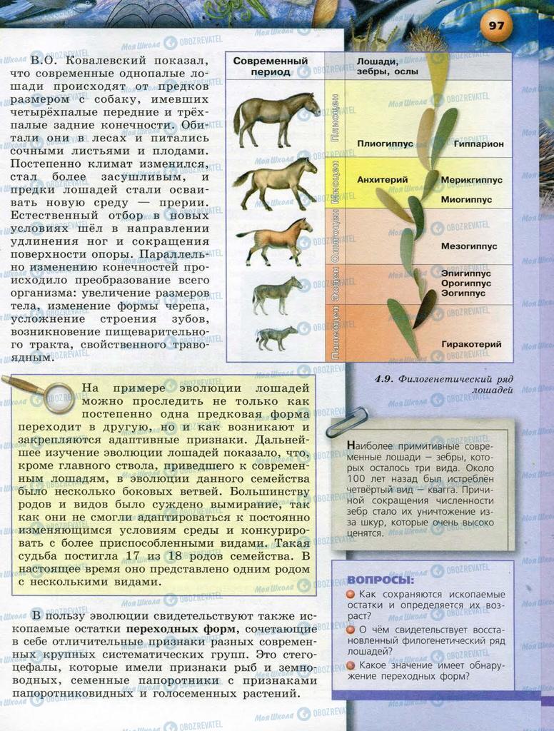 Підручники Біологія 10 клас сторінка  97