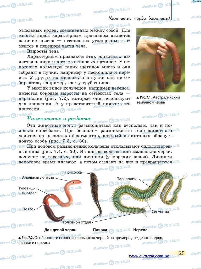 Підручники Біологія 7 клас сторінка 29