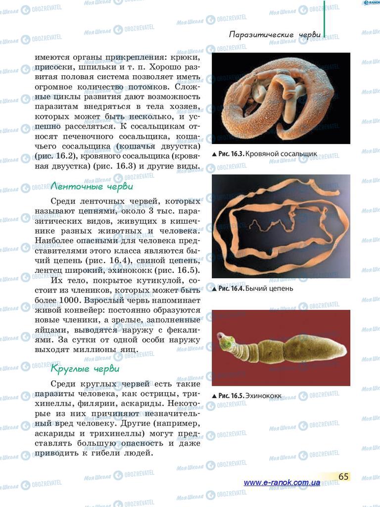 Підручники Біологія 7 клас сторінка 65