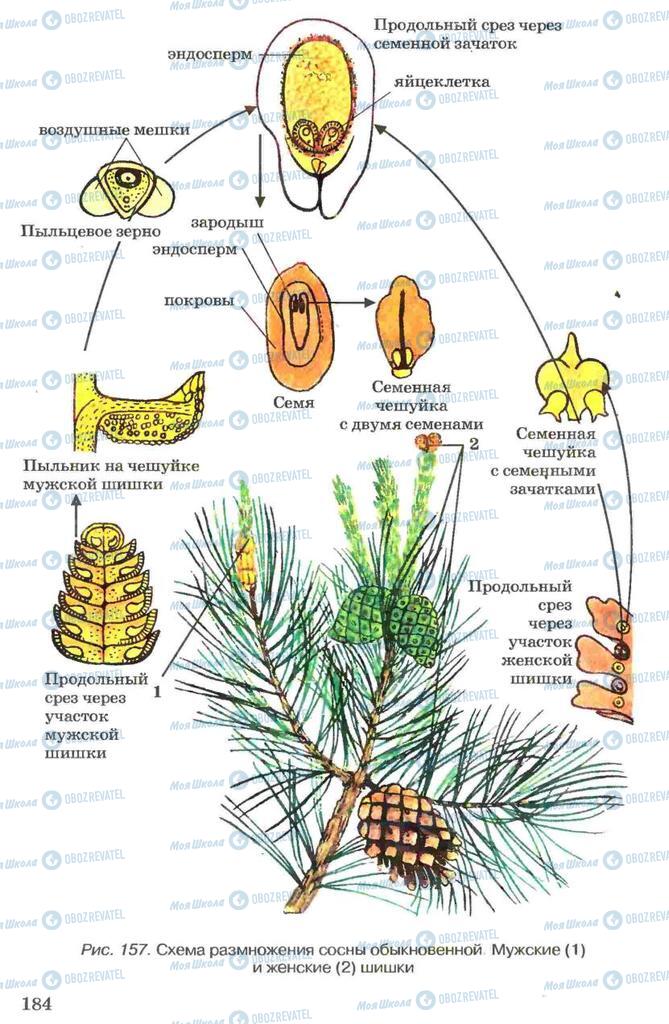 Підручники Біологія 7 клас сторінка 184