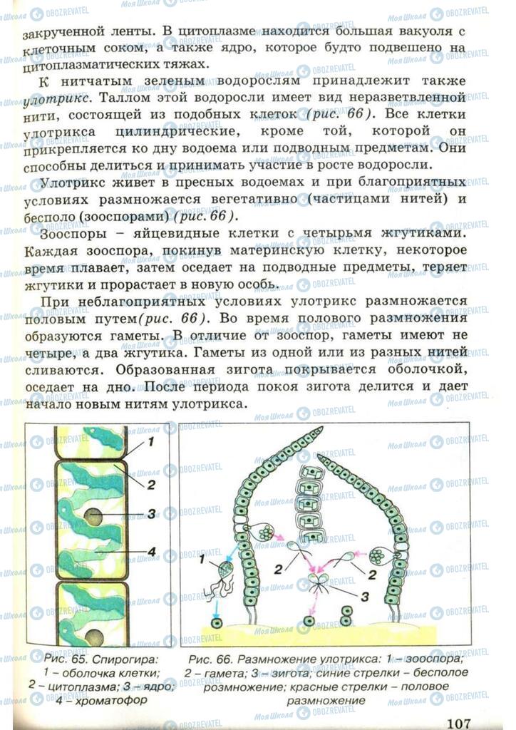 Підручники Біологія 7 клас сторінка 107