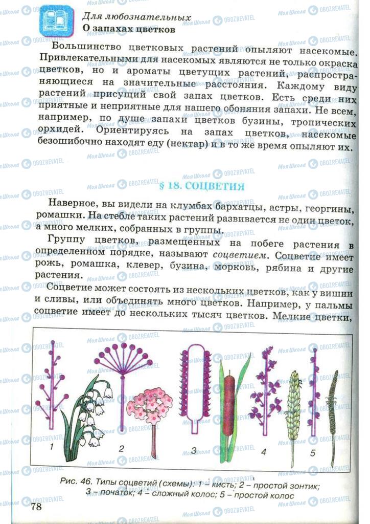 Підручники Біологія 7 клас сторінка 78