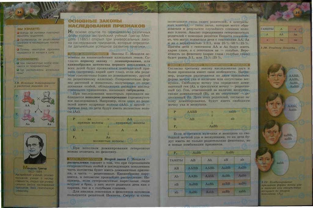 Підручники Біологія 9 клас сторінка  24-25