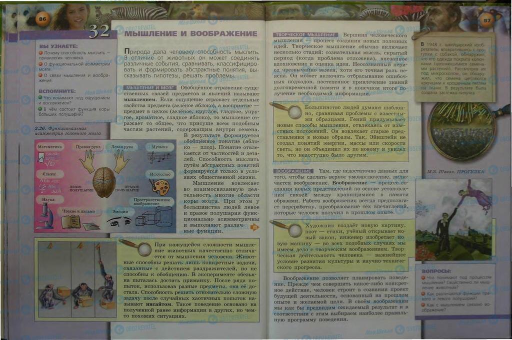 Підручники Біологія 9 клас сторінка 86-87