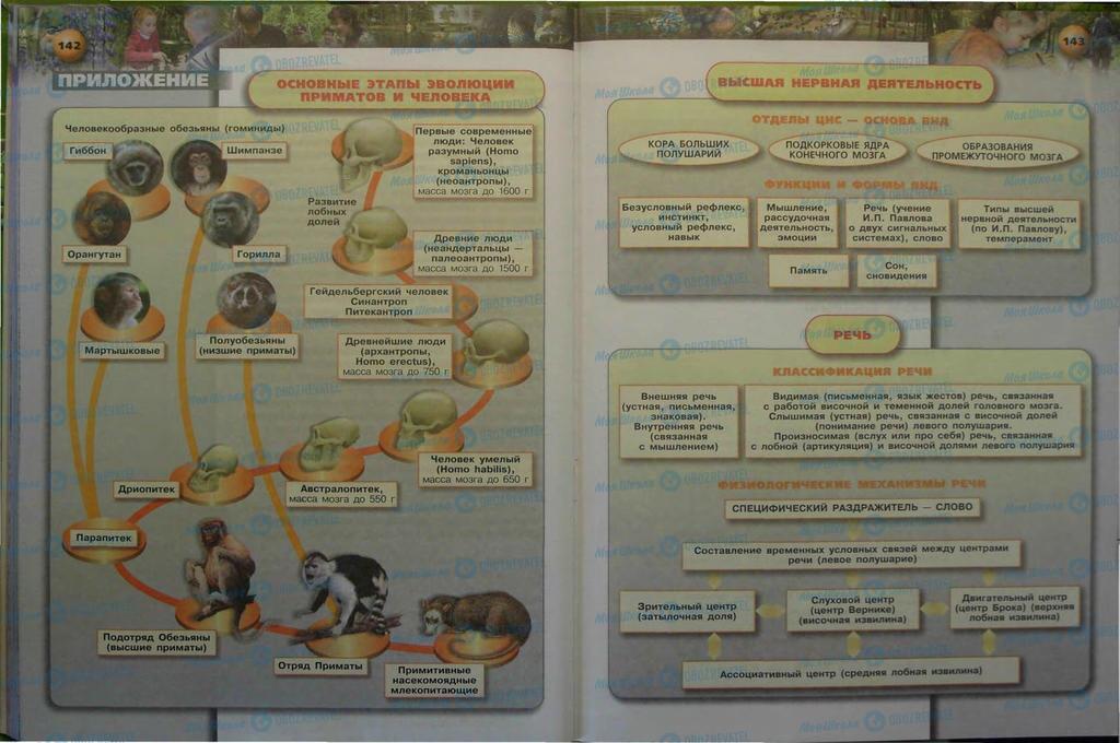 Учебники Биология 9 класс страница  142-143