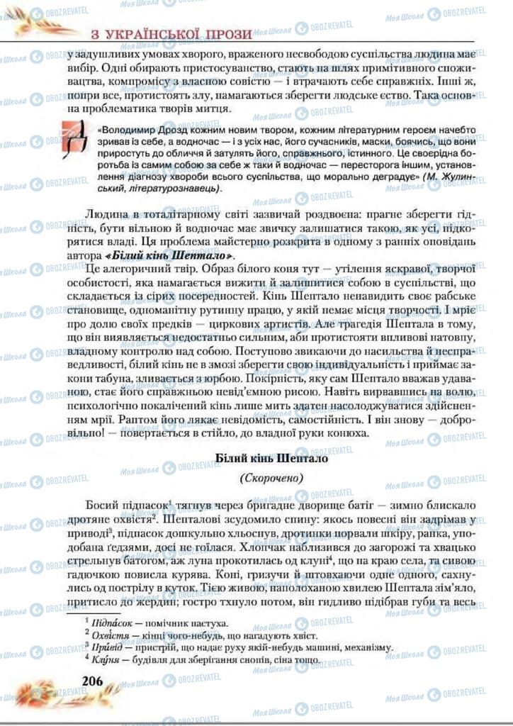 Підручники Українська література 8 клас сторінка  206