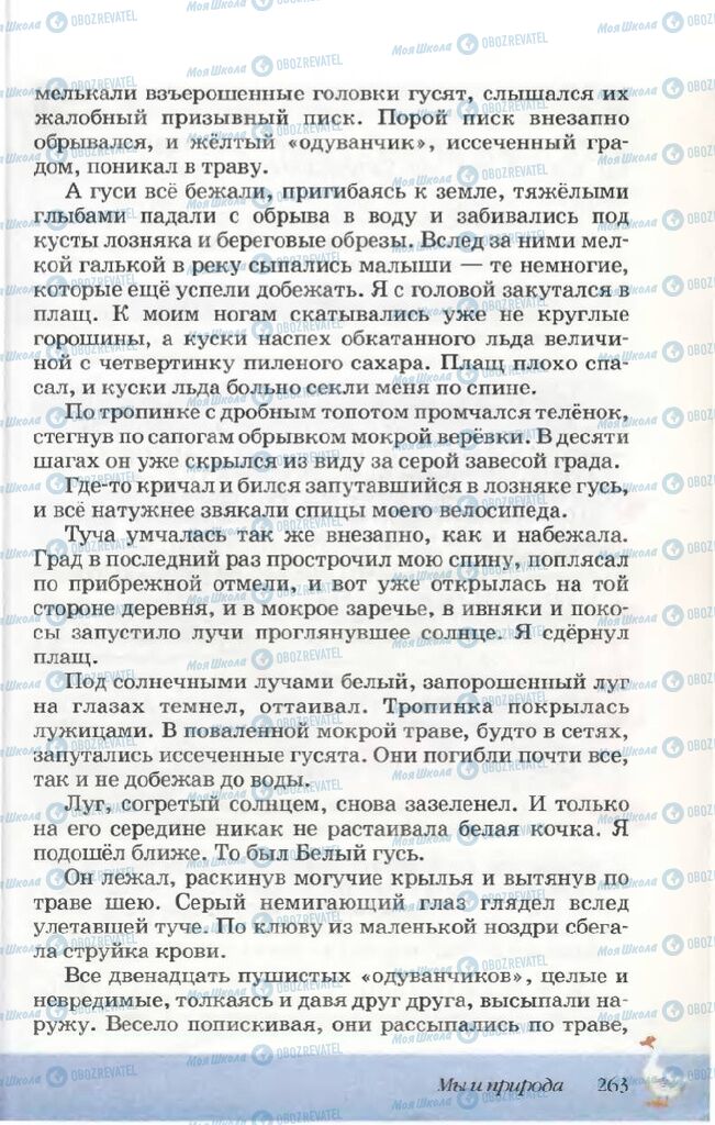 Підручники Російська література 5 клас сторінка  263