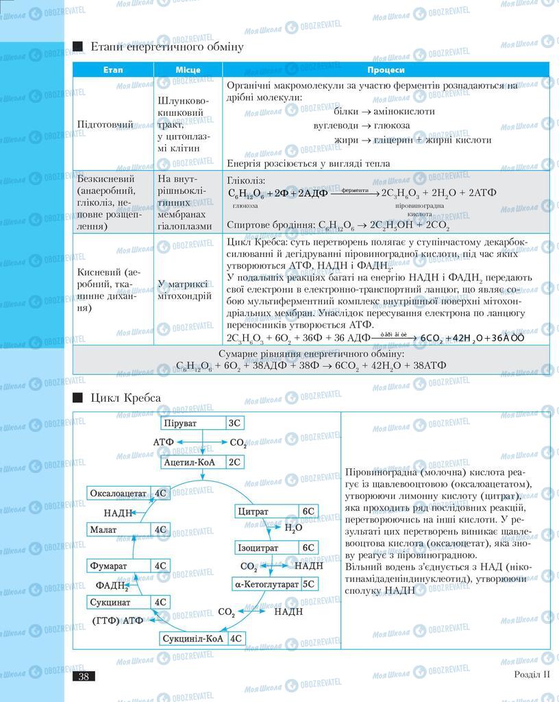 Підручники Біологія 11 клас сторінка 38