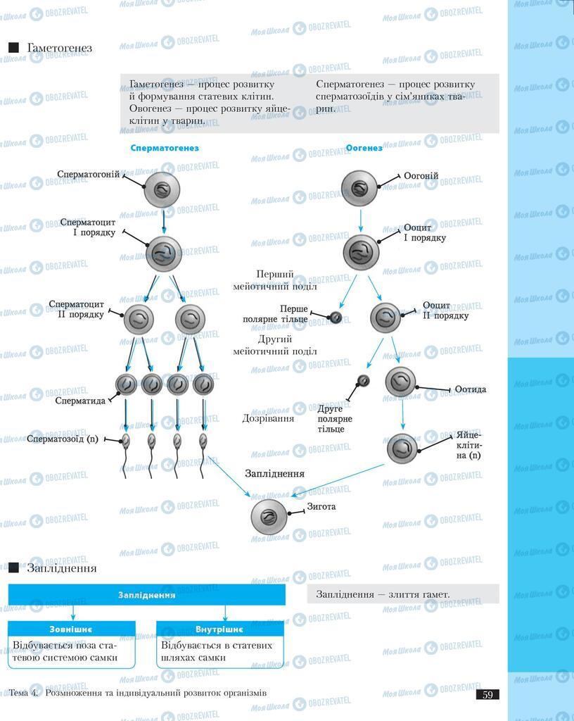 Підручники Біологія 11 клас сторінка 59