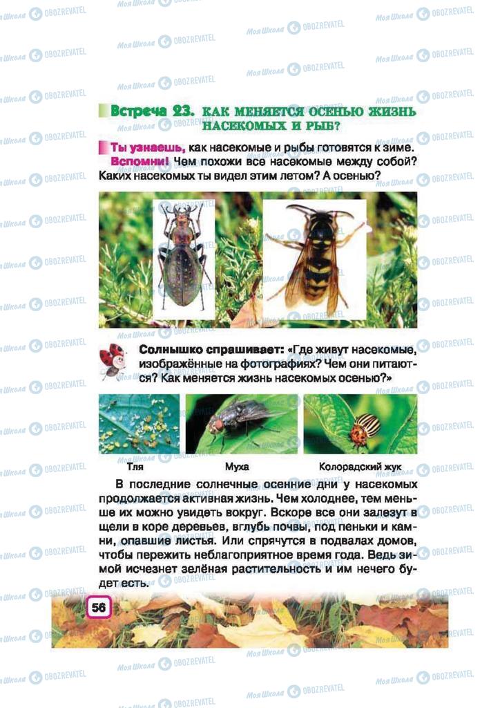 Підручники Природознавство 2 клас сторінка 56