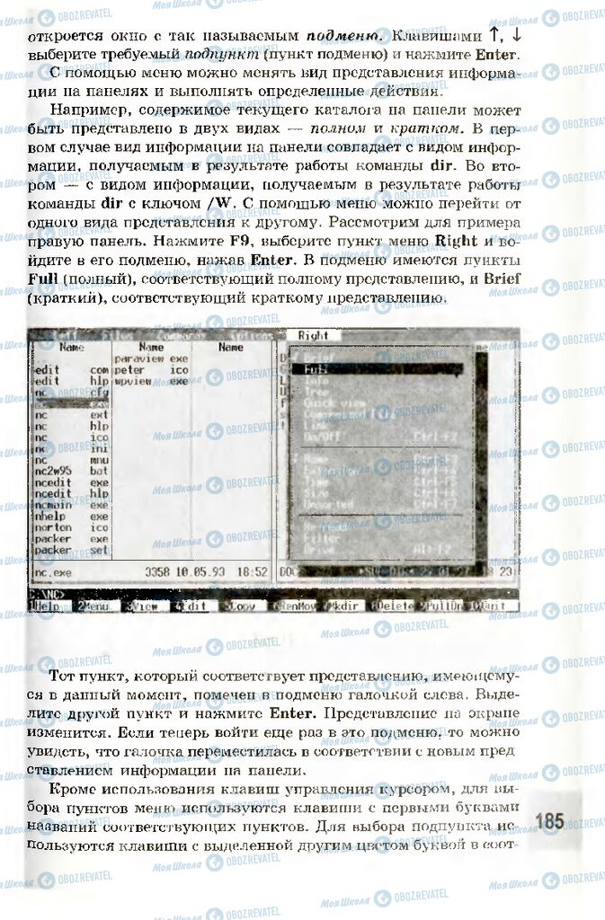 Підручники Інформатика 10 клас сторінка 185