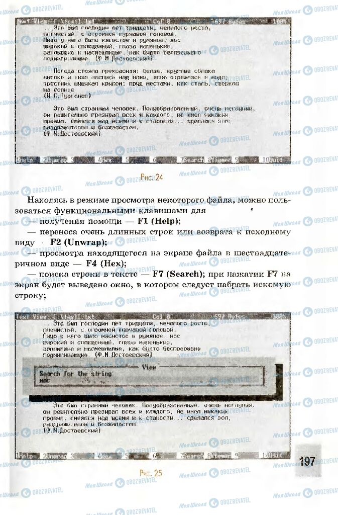 Підручники Інформатика 10 клас сторінка 197