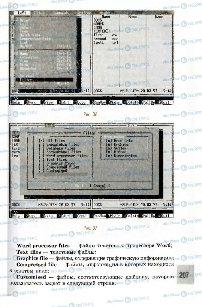 Підручники Інформатика 10 клас сторінка 207