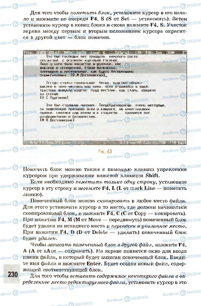 Підручники Інформатика 10 клас сторінка 230