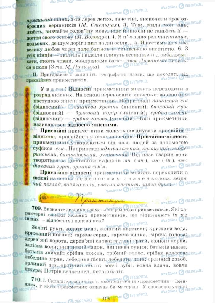Підручники Українська мова 10 клас сторінка 313