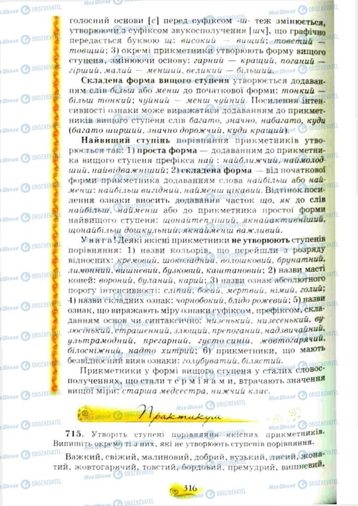 Підручники Українська мова 10 клас сторінка 316
