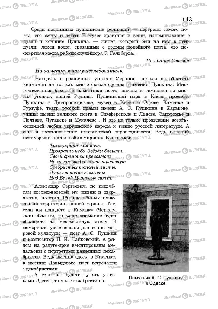 Учебники Русская литература 10 класс страница 113