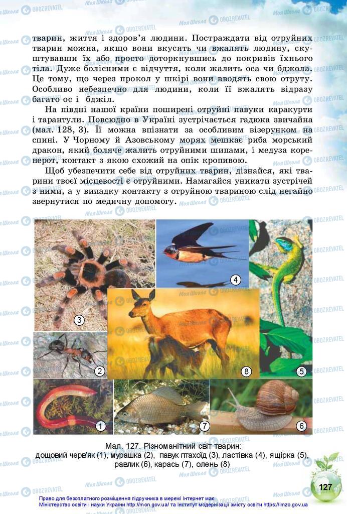 Підручники Природознавство 5 клас сторінка 127