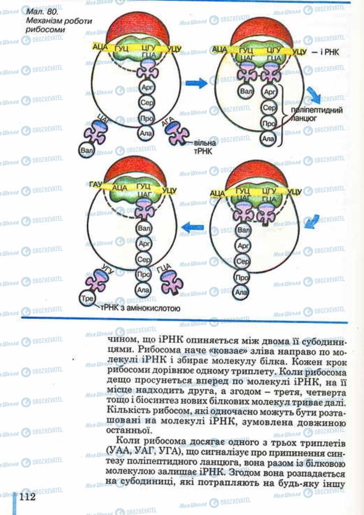 Учебники Биология 10 класс страница 112