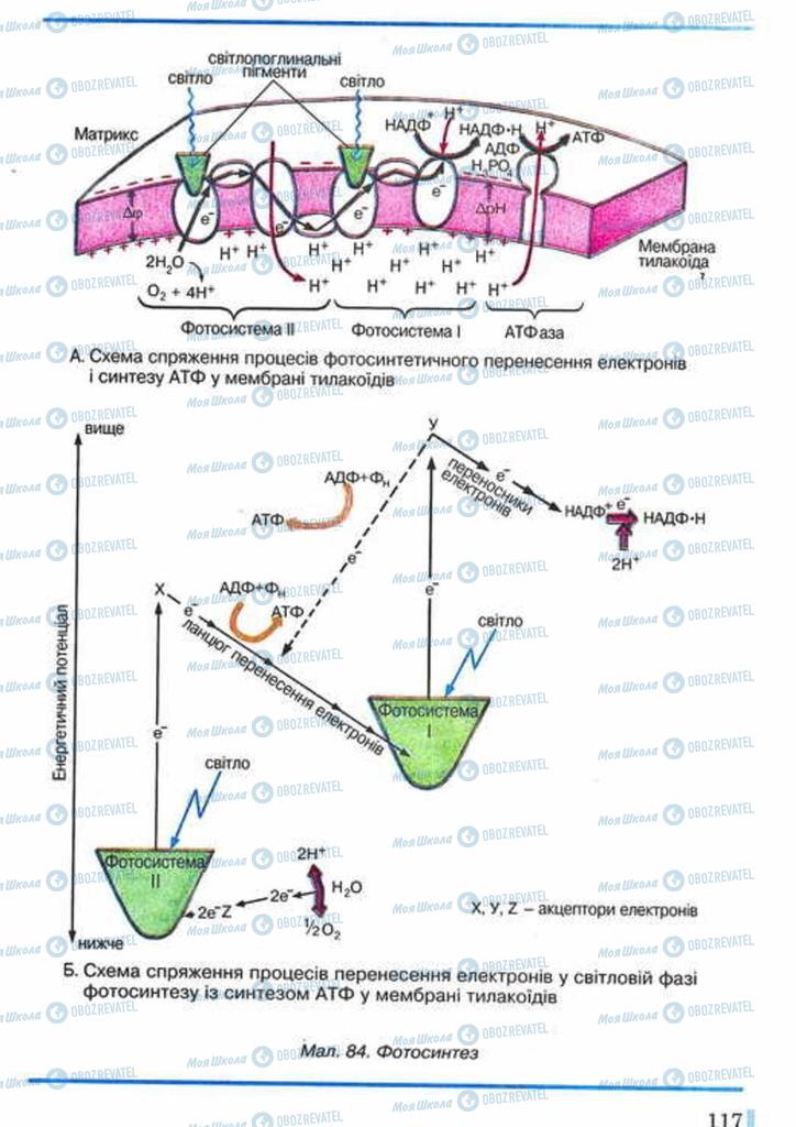 Підручники Біологія 10 клас сторінка 117