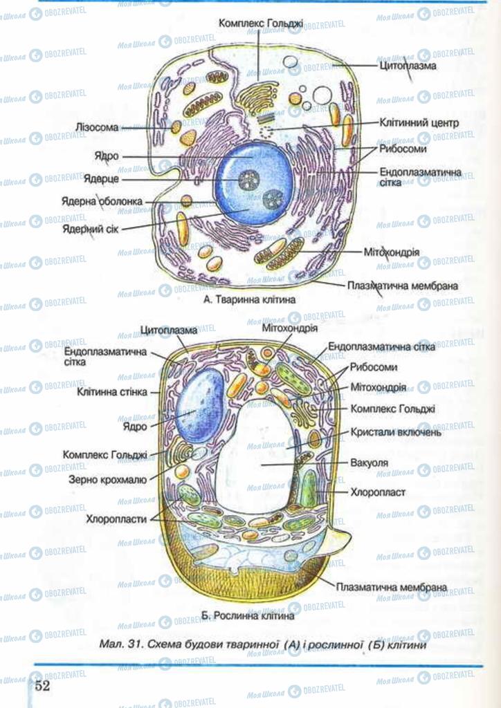 Учебники Биология 10 класс страница 52