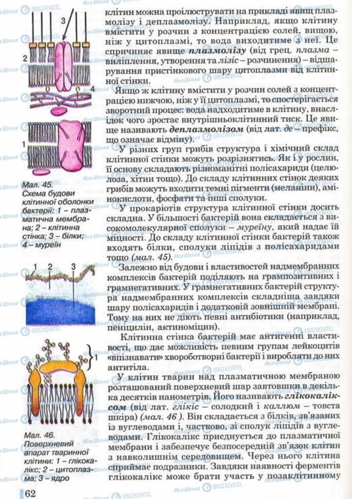 Підручники Біологія 10 клас сторінка 62