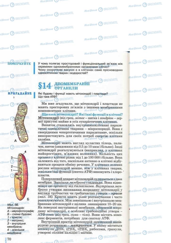 Підручники Біологія 10 клас сторінка 70